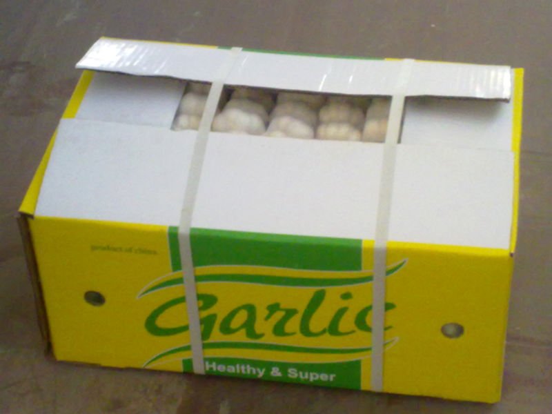 20101119071.jpg