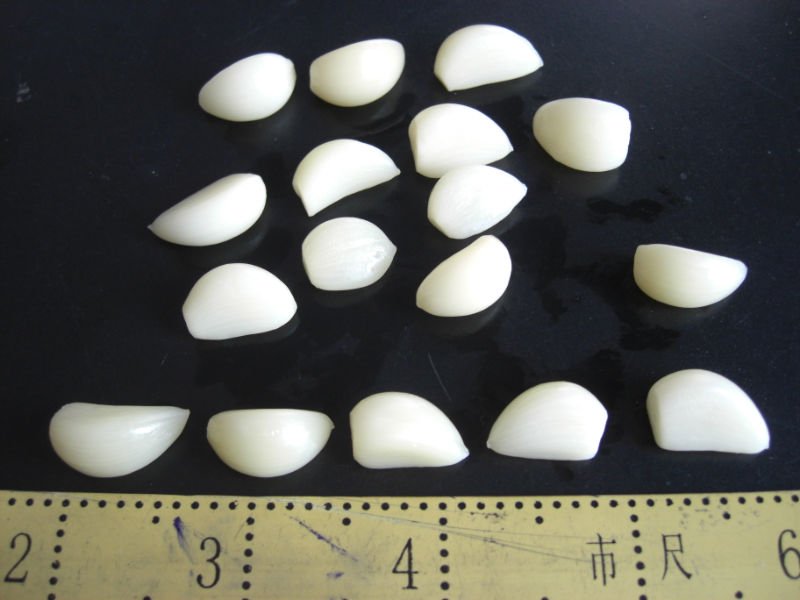 CIMG2187