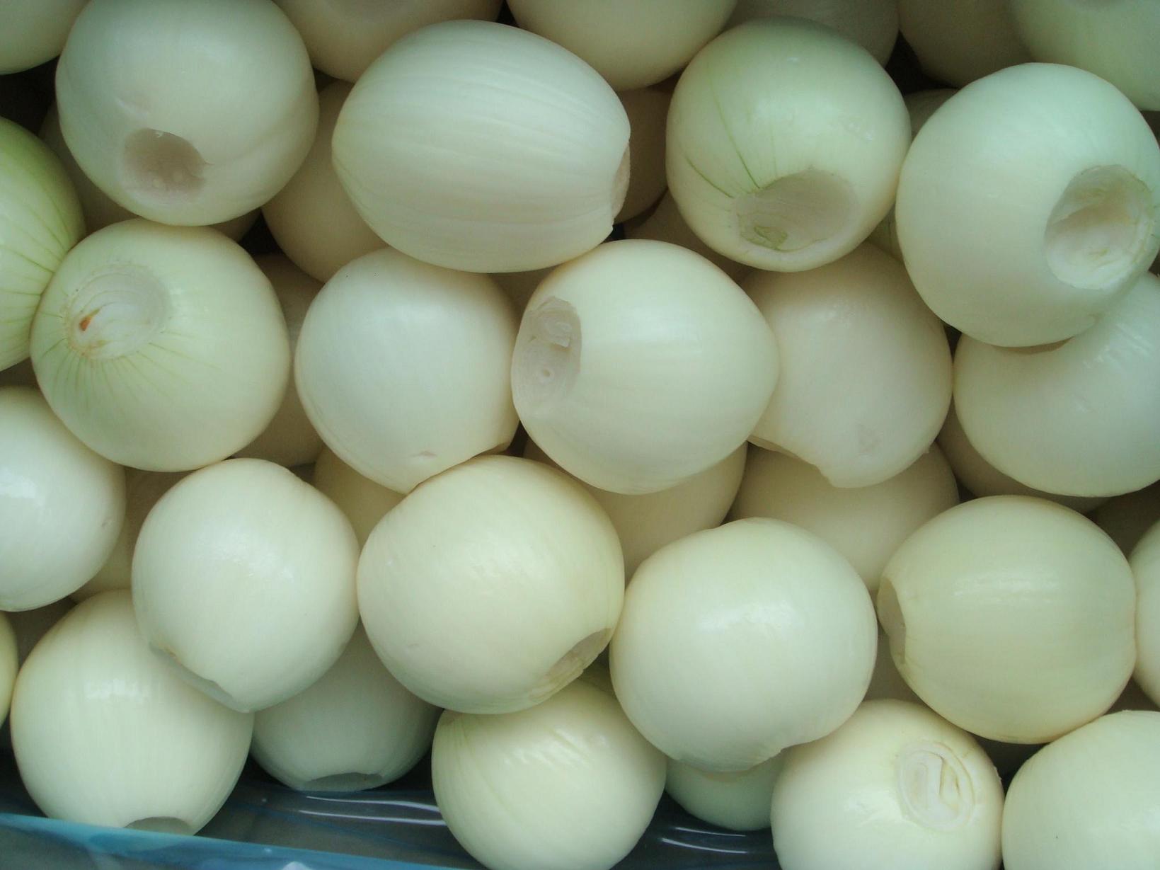 Peeled Onions dig hole both sides.JPG