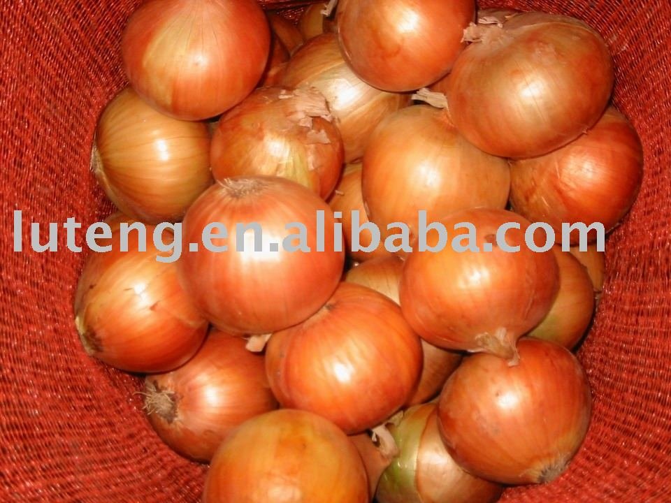 Fresh_Yellow_Onion.jpg