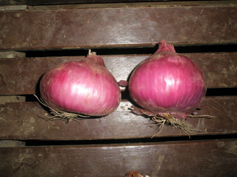 P9121901