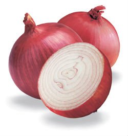 onion04