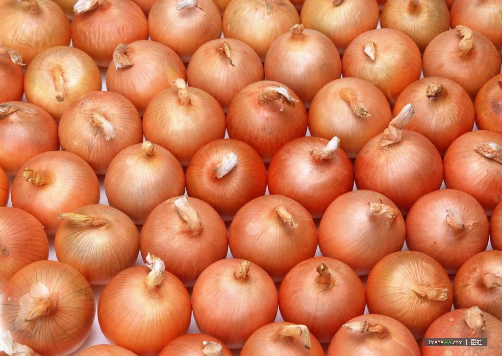 onion4