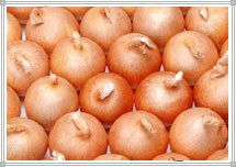 onion