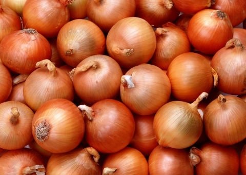 onion01