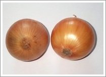 yellowonion-08.jpg