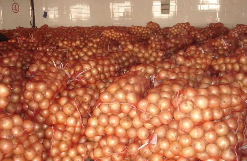 mesh bag onion 1