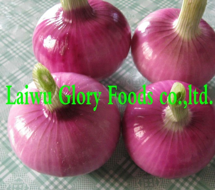 red onion 1