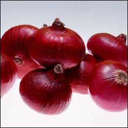 onion.jpg