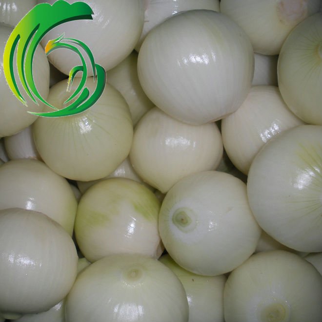 peeled onion