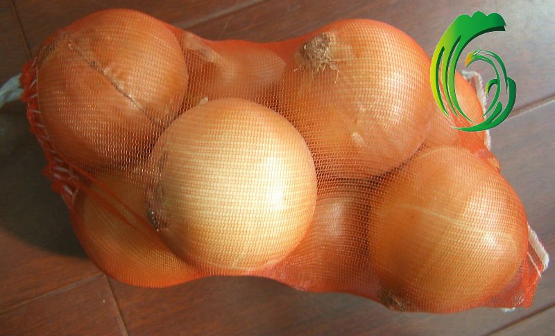 yellow onion.JPG