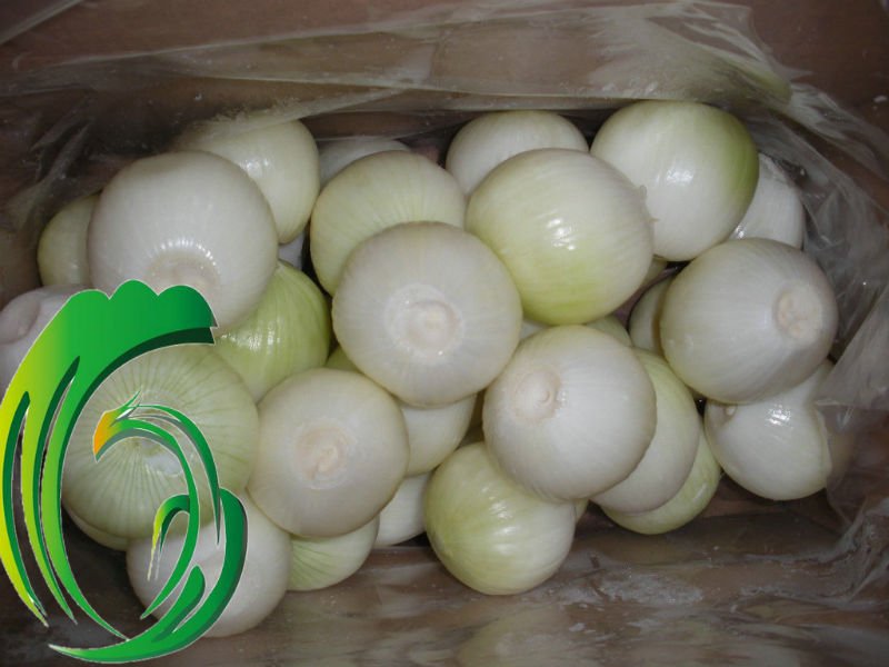 peeled onion35.jpg