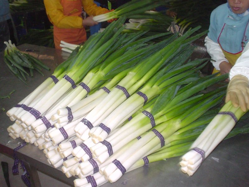 sping onion 1.jpg