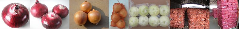 red-yellow-oinons-horz.jpg