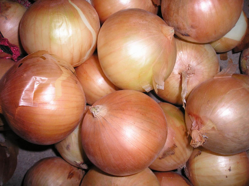 5-7ONION7.JPG