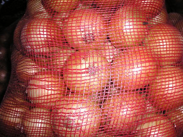 5-7ONION4.JPG