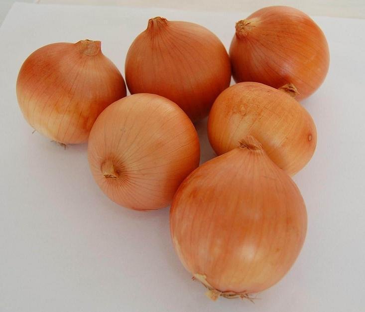 2\'