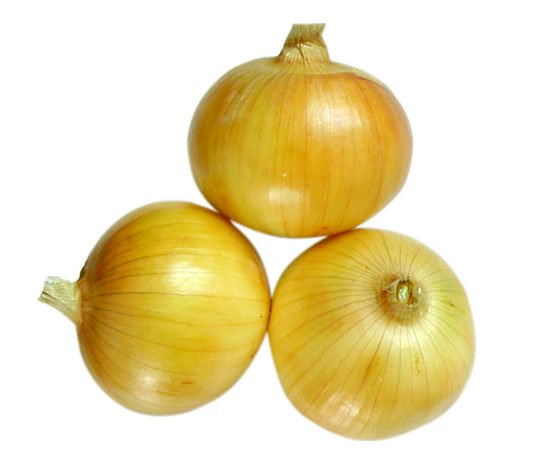 IMAG1225434154012495