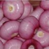 fresh red onion.jpg