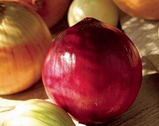 redonion4