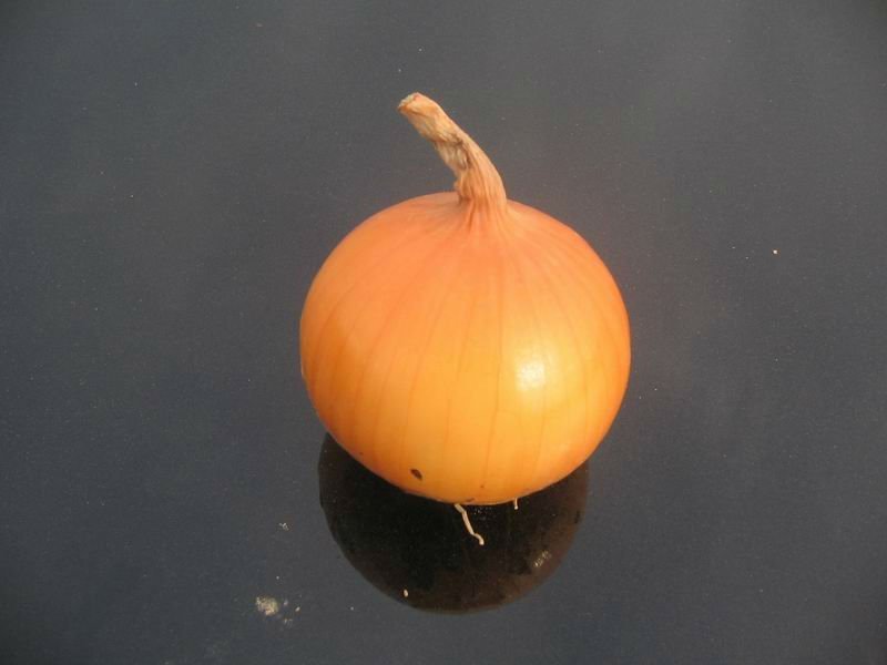11.JPG