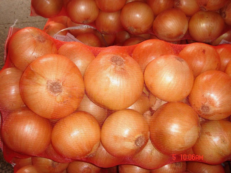 yellow onion