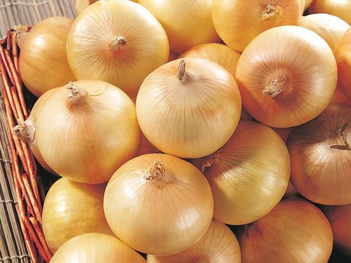yellow onion 2