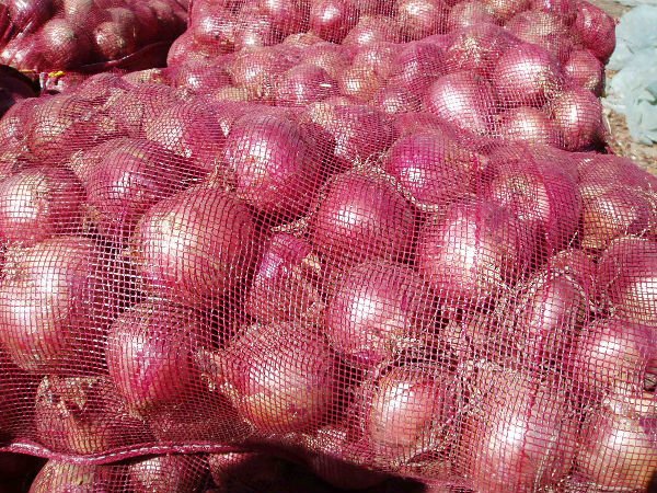 red onion bags