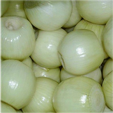peeled onion 1