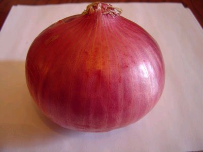 326103073_645.jpg
