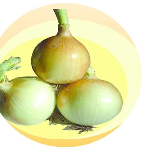 _ONION.jpg