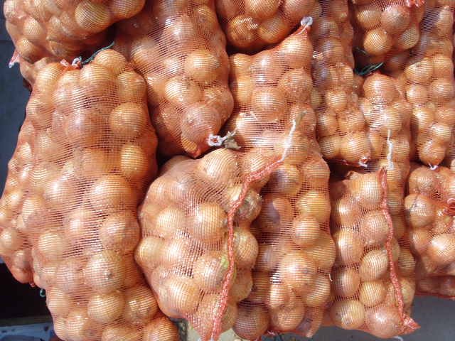 onion 7.jpg