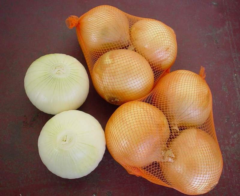 onion 21.jpg