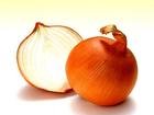 onion10.jpg