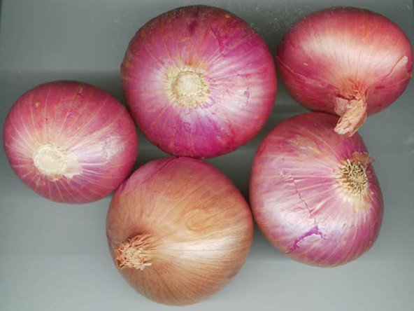 red onion3