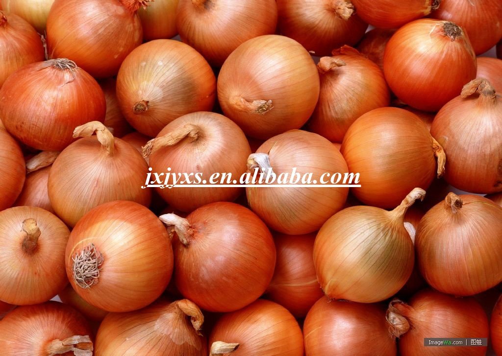 conew_red-onion