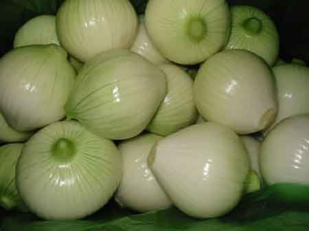 Onion-3-