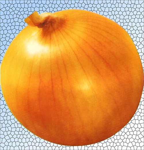 yellow onion