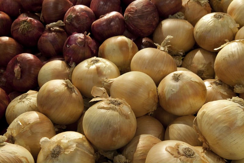 onion0.jpg