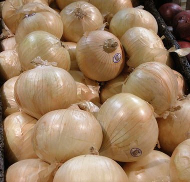 vegetable-vidalia-onion