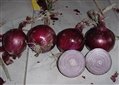 _m_gw_Hnlh6C5-u1VSNDZRDpdEOAFDVzDsPUc2aY9PmIqh8kkFB0EOcPYN93TZ6xTZBsrVTtoQd0h5sJY=.jpg