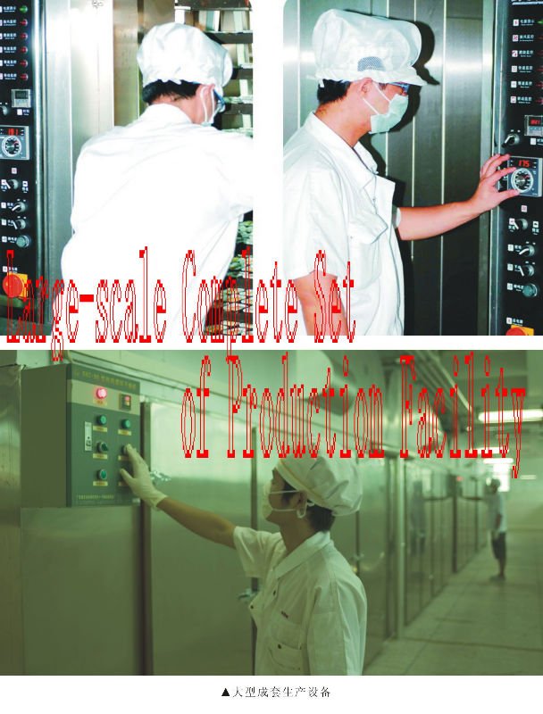 Large-scale Complete Set of Production Facility.jpg