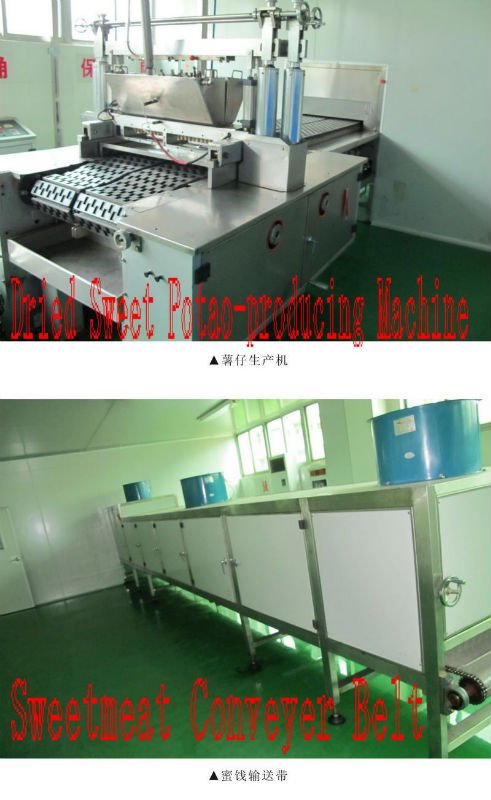 Dried Sweet Potato Production Machine and Sweetmeat Conveyer Belt.jpg