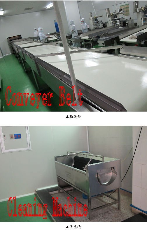 Conveyer Belt and Cleaning Machine.jpg