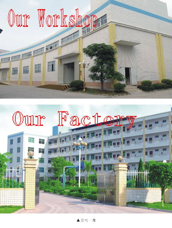 Our Factory and workshop.jpg