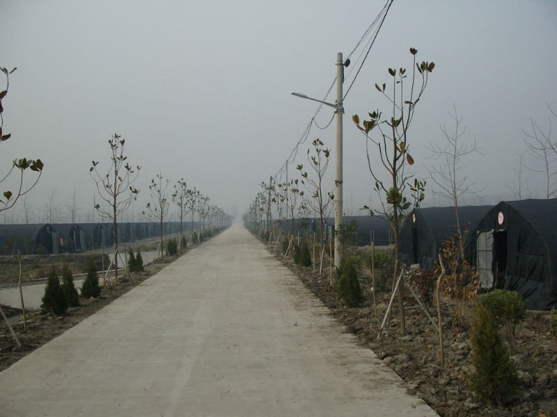 SNV10461.JPG