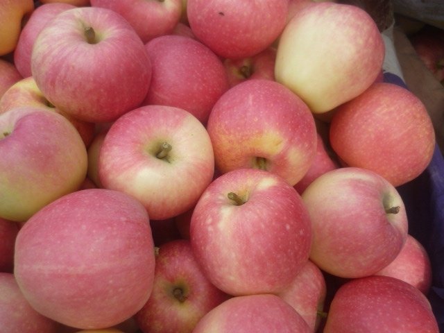 P1020325