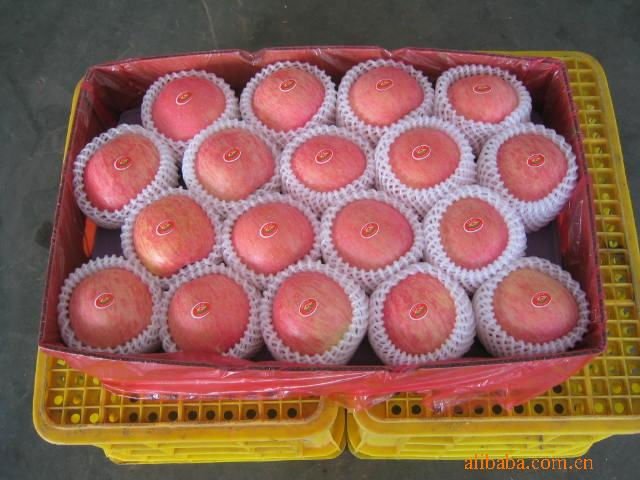 lhm969$1087384
