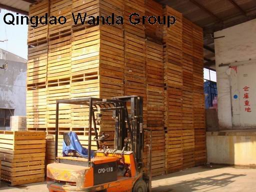 outside the workshop.JPG