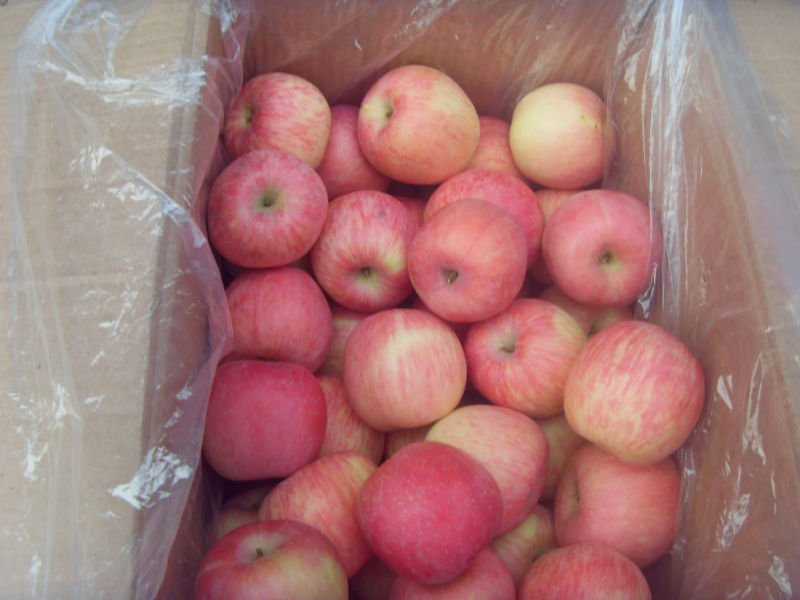 SDC10780.JPG